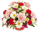 seasonal flowers bunch
