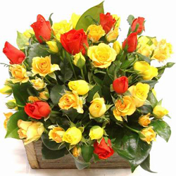 Send Anniversary Flowers to Hubli