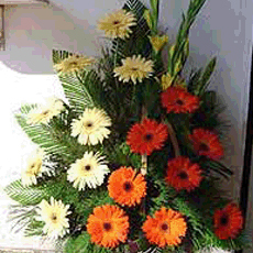 Gerbera flower arrangement