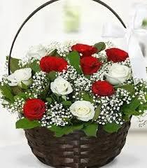 White and Red rose